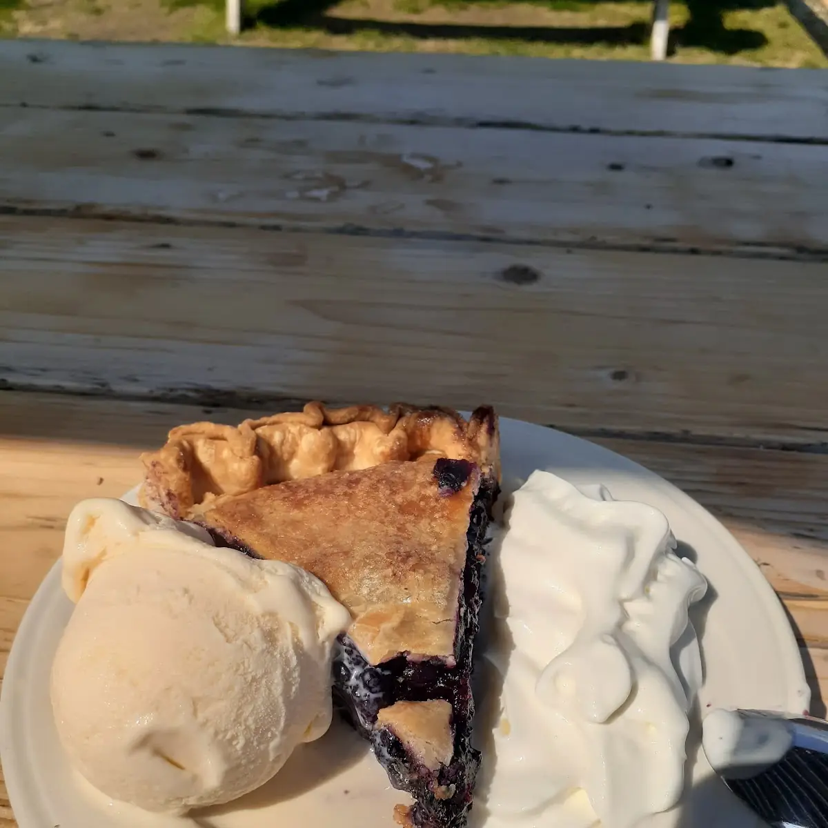 Wild Maine Blueberry Pie
