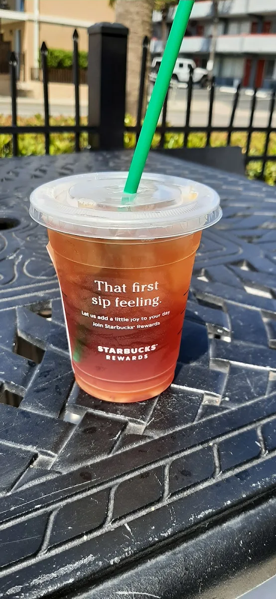 Unsweetened Iced Tea