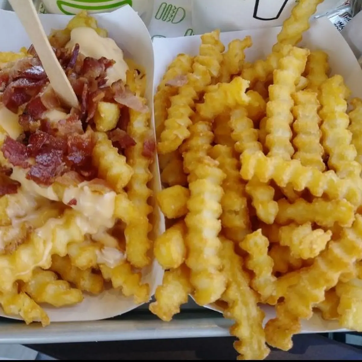 Bacon Cheddar