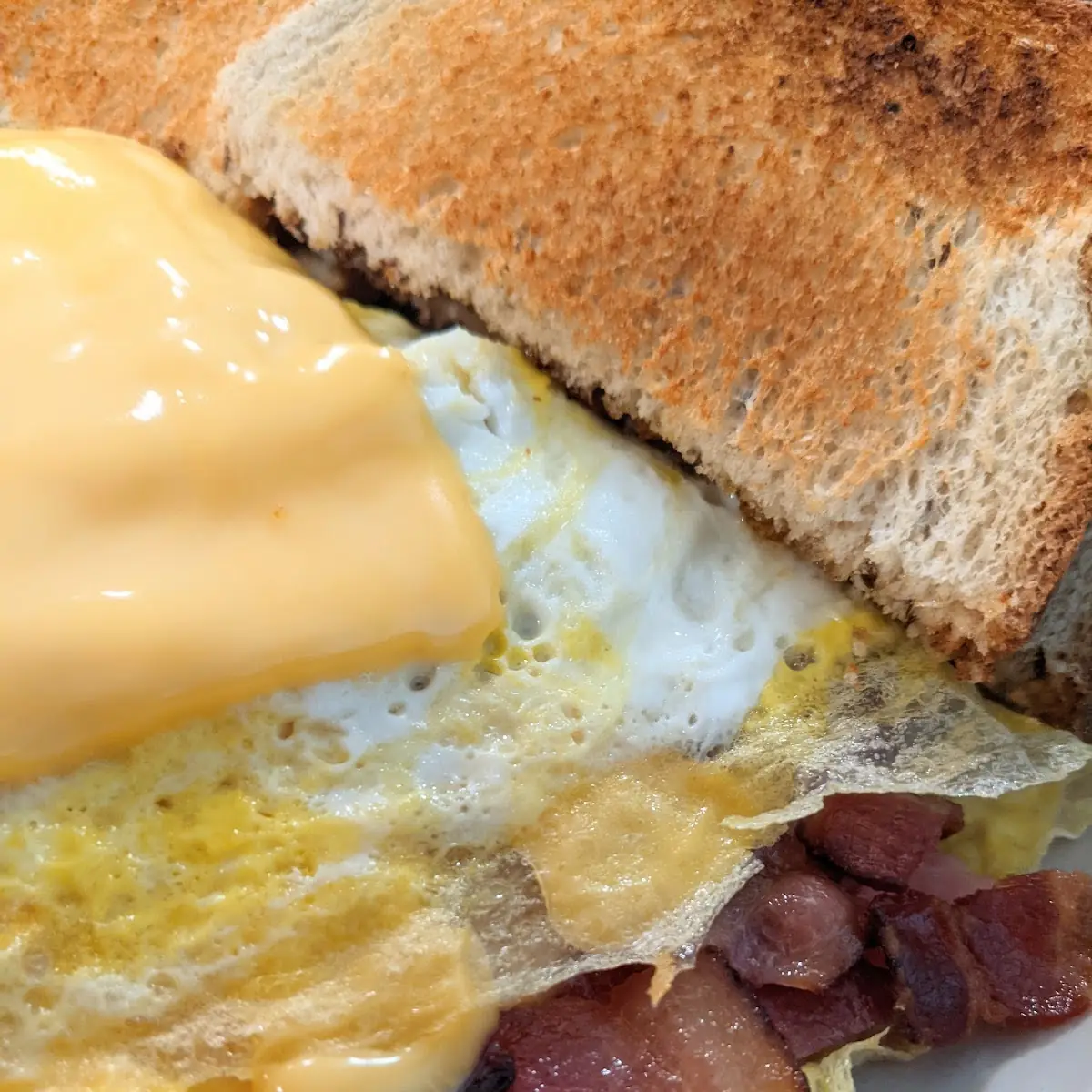Bacon Ham Omelette