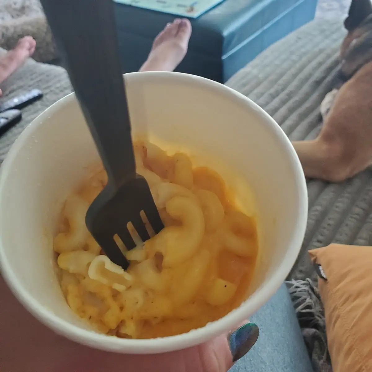 Kid's Mac & Cheese