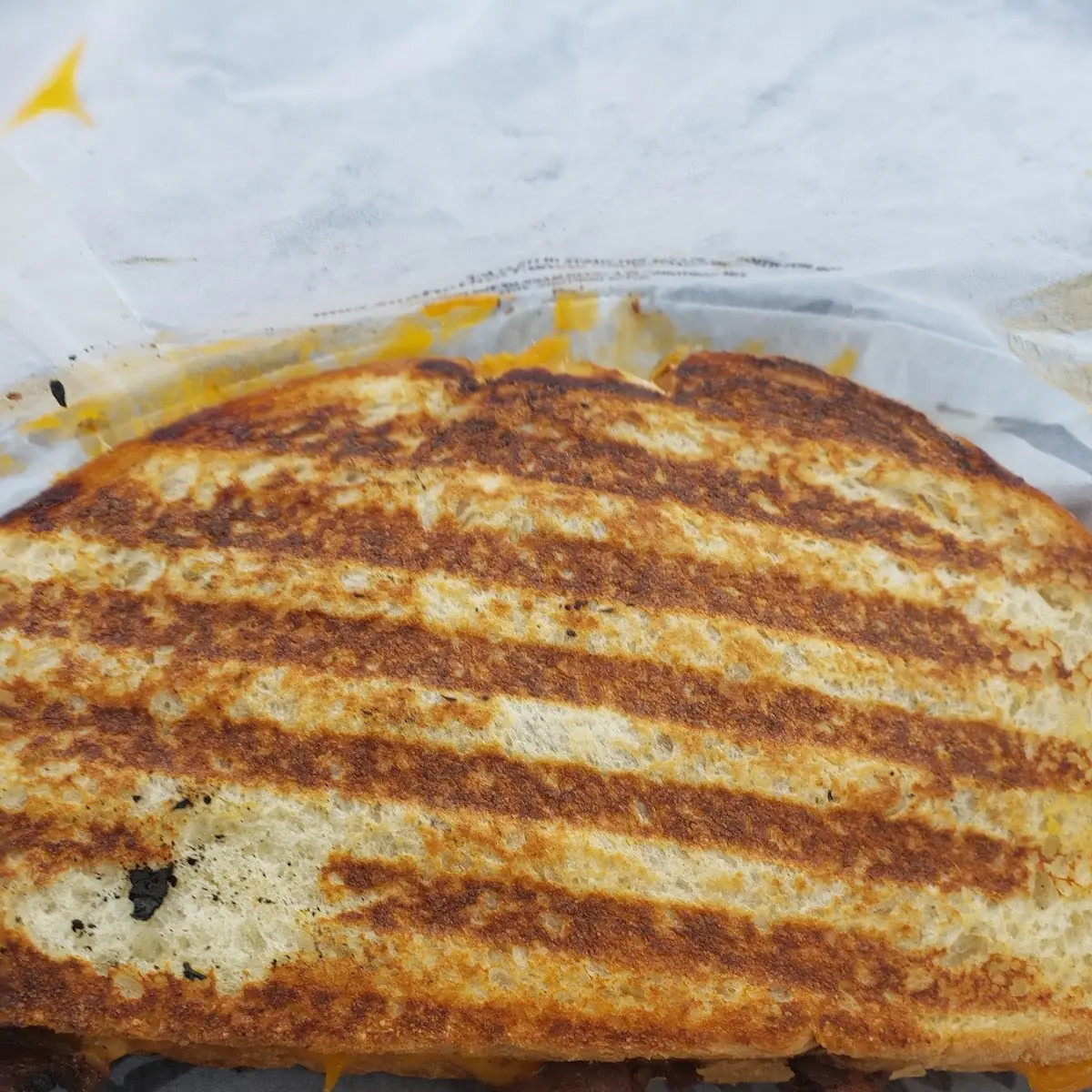 Grilled Cheese Panini
