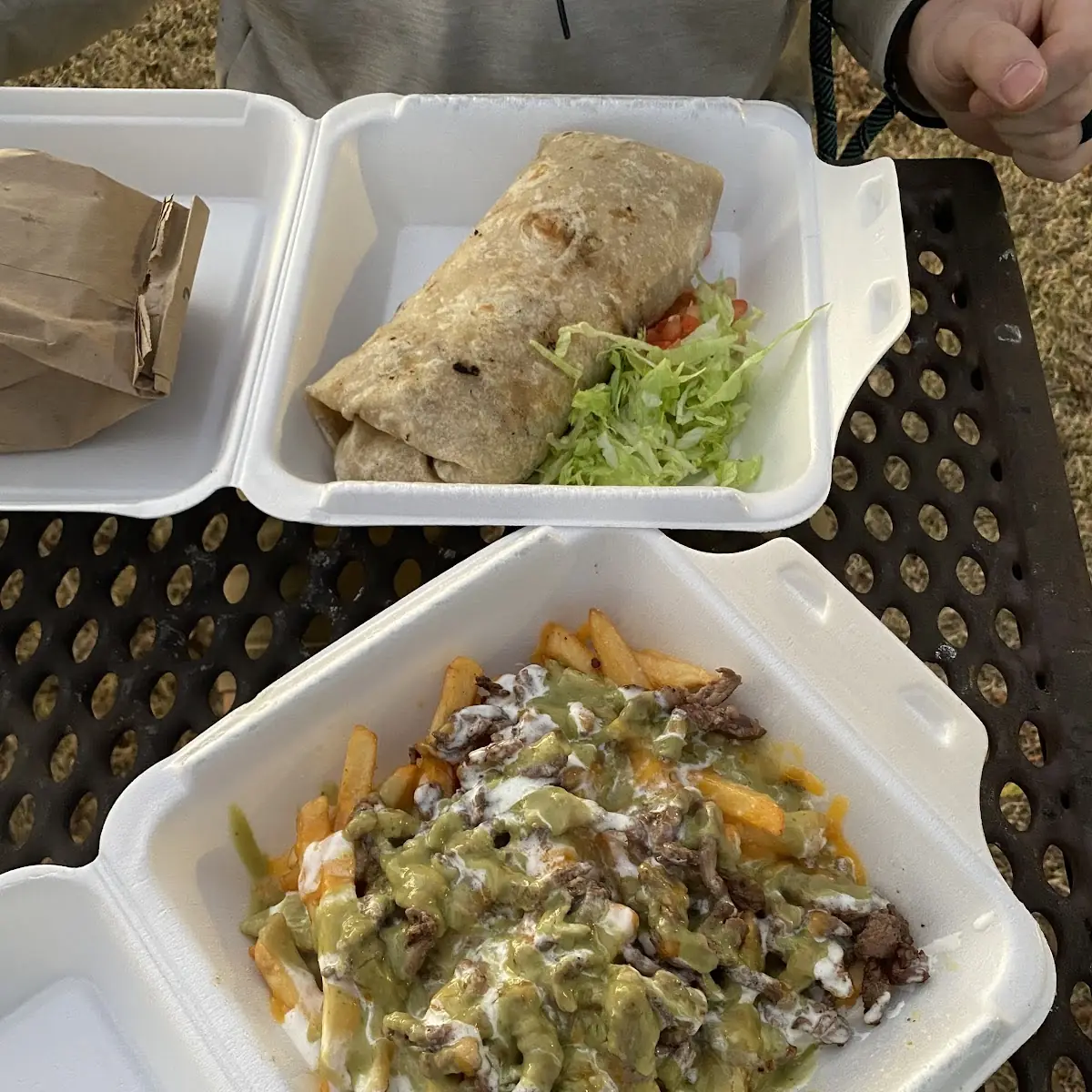 Carne Asada Fries