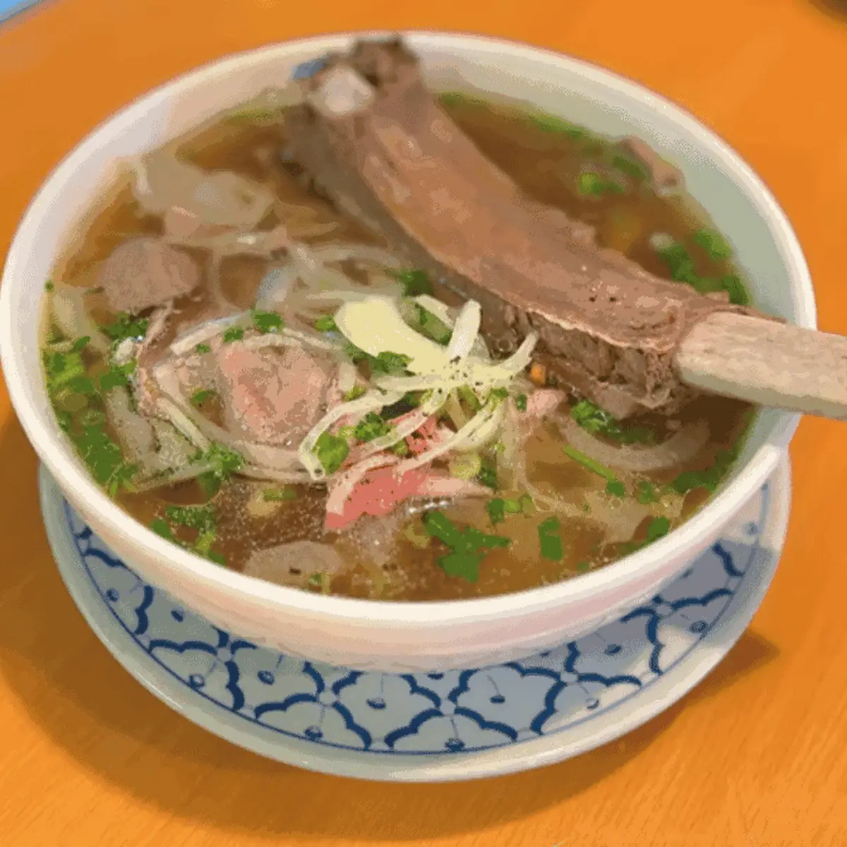 House Noodle Soup