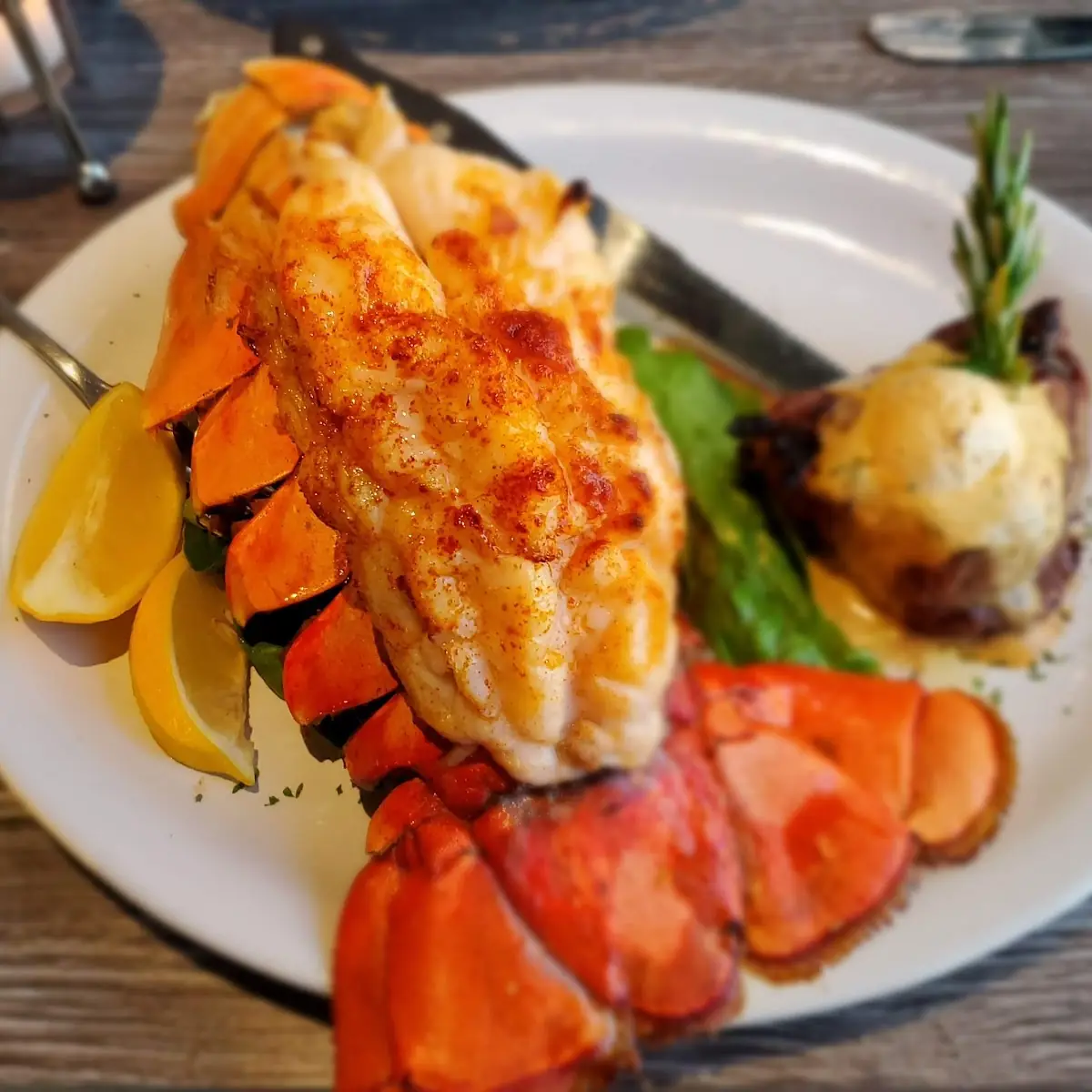 North Atlantic Lobster Tail