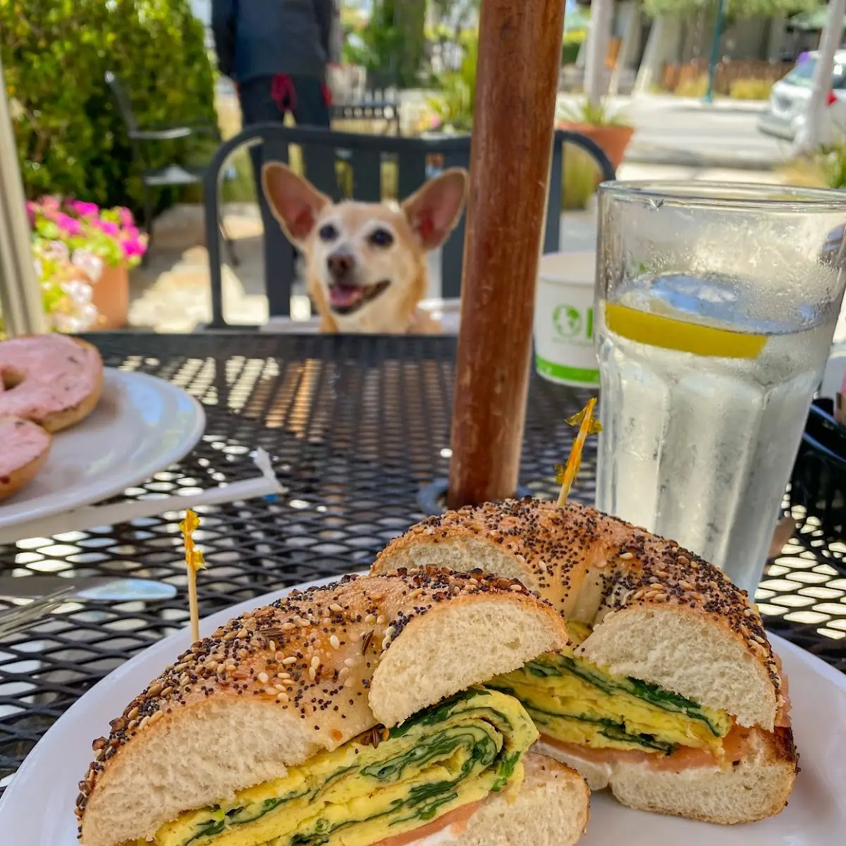 Specialty Bagels