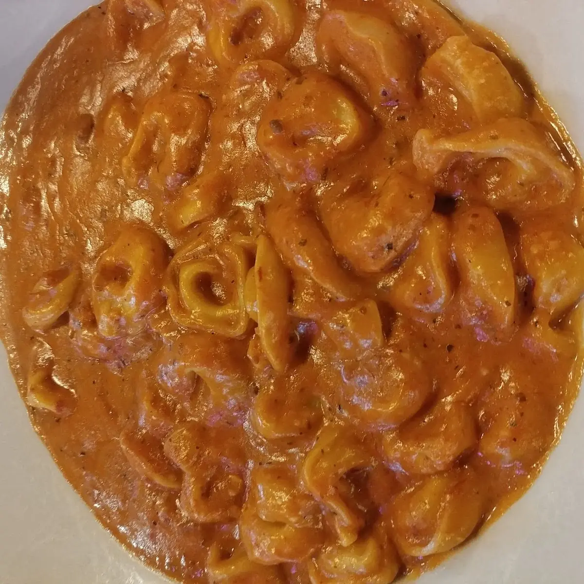 Tortellini Bolognese