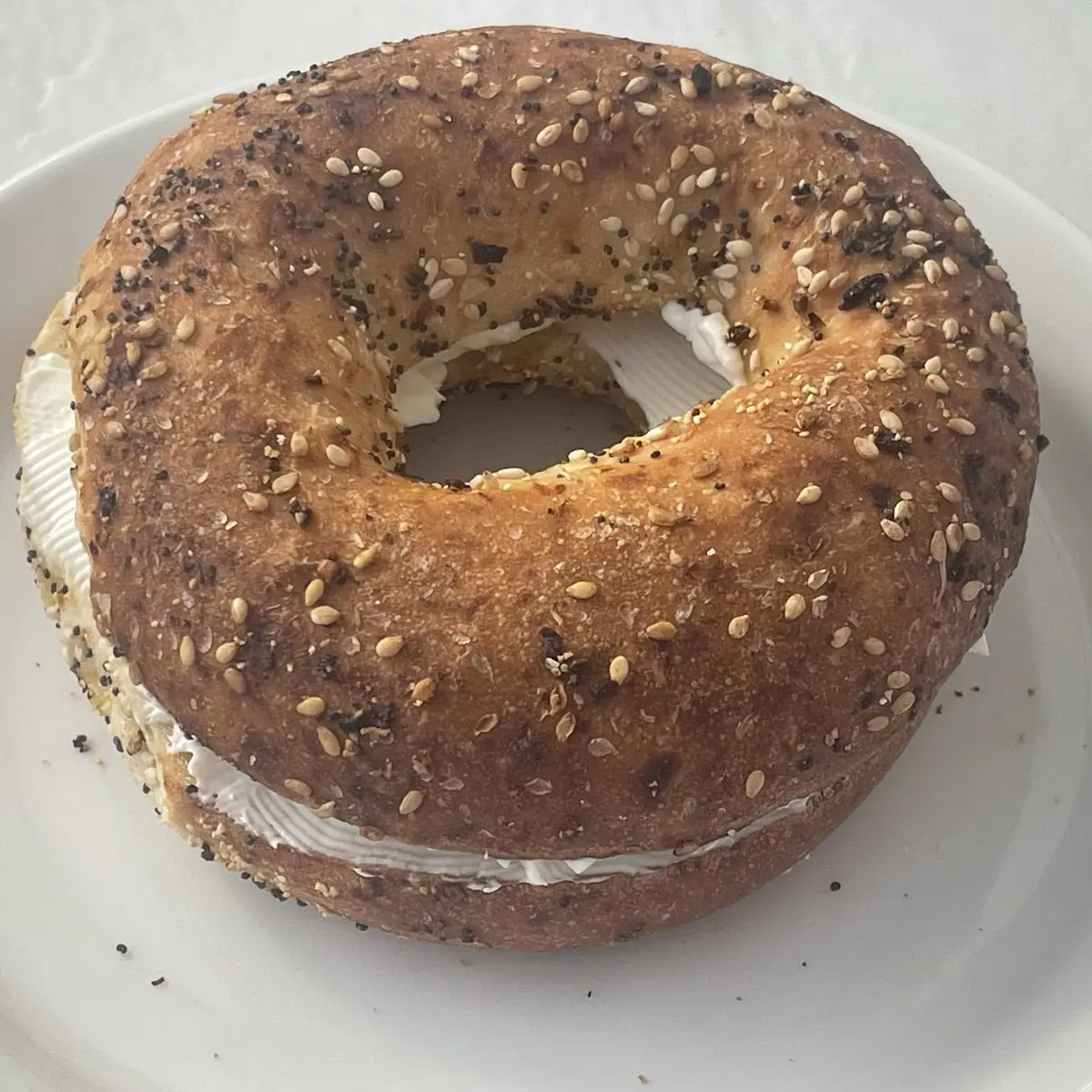 Bagel Lox