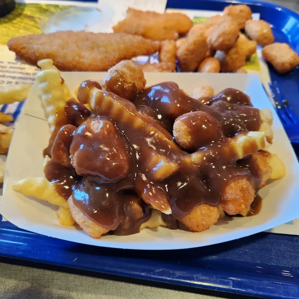 Fries Cheese Curdscurds Beef Gravy