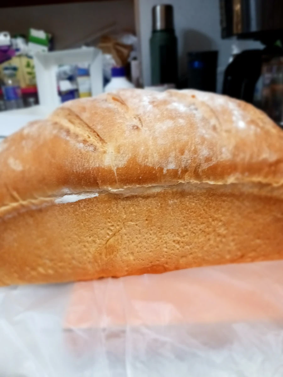 Sourdough Bread