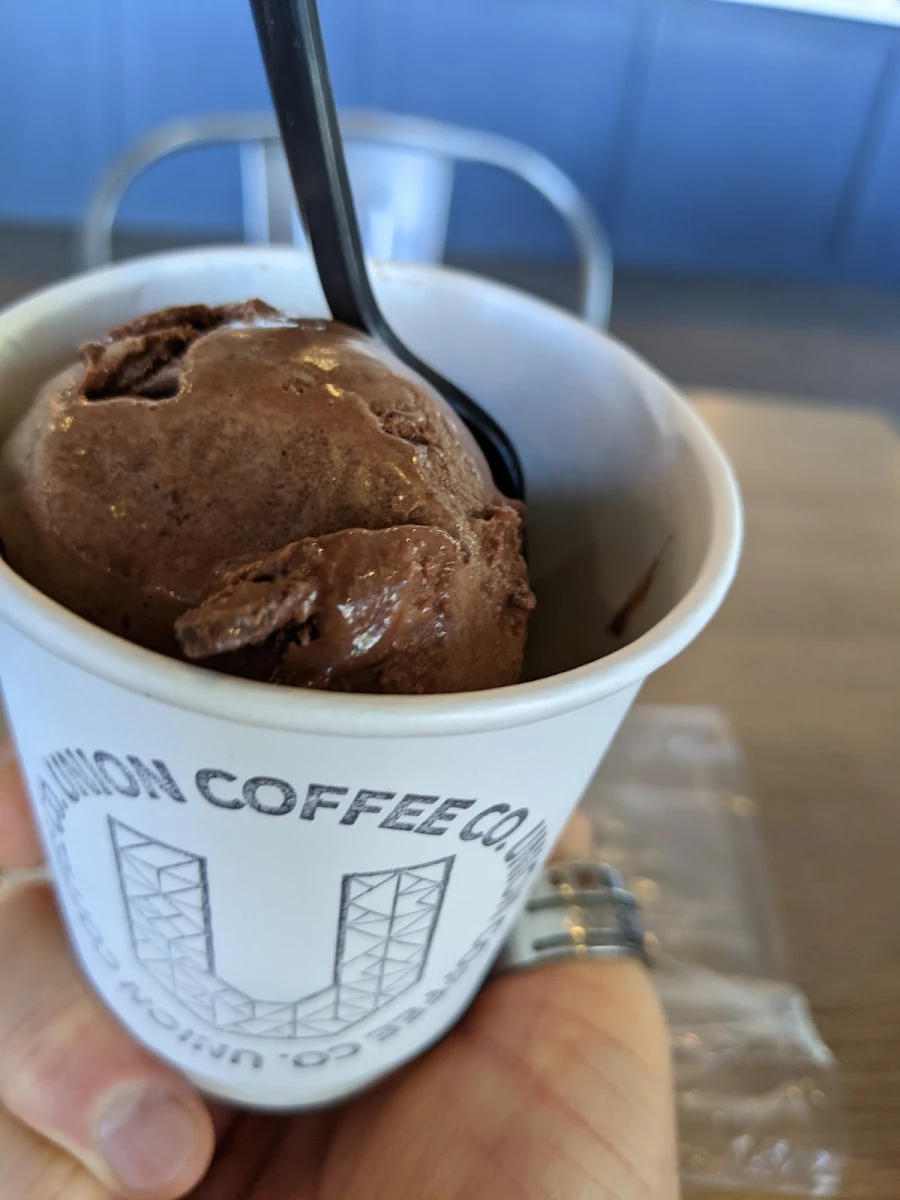 Chocolate Chip Chocolate Ice Cream