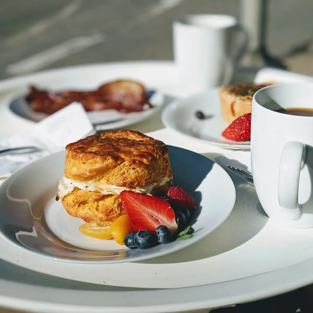 Egg Biscuit