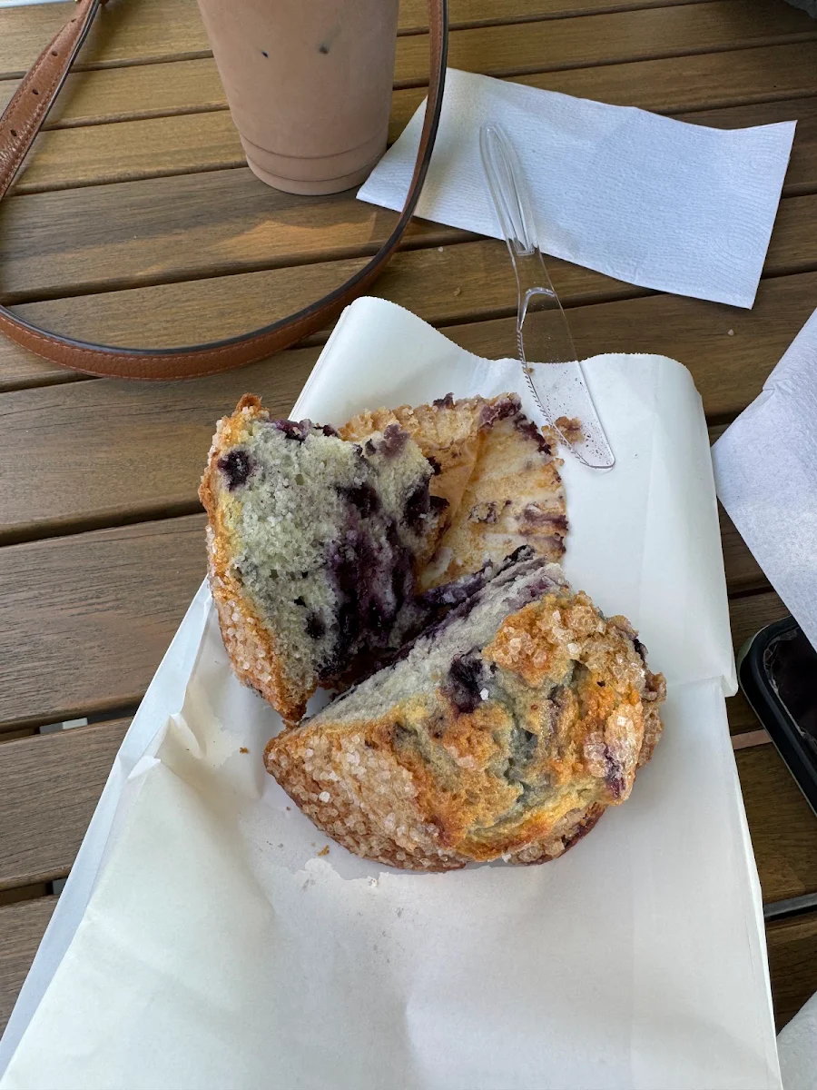 Blueberry Muffin