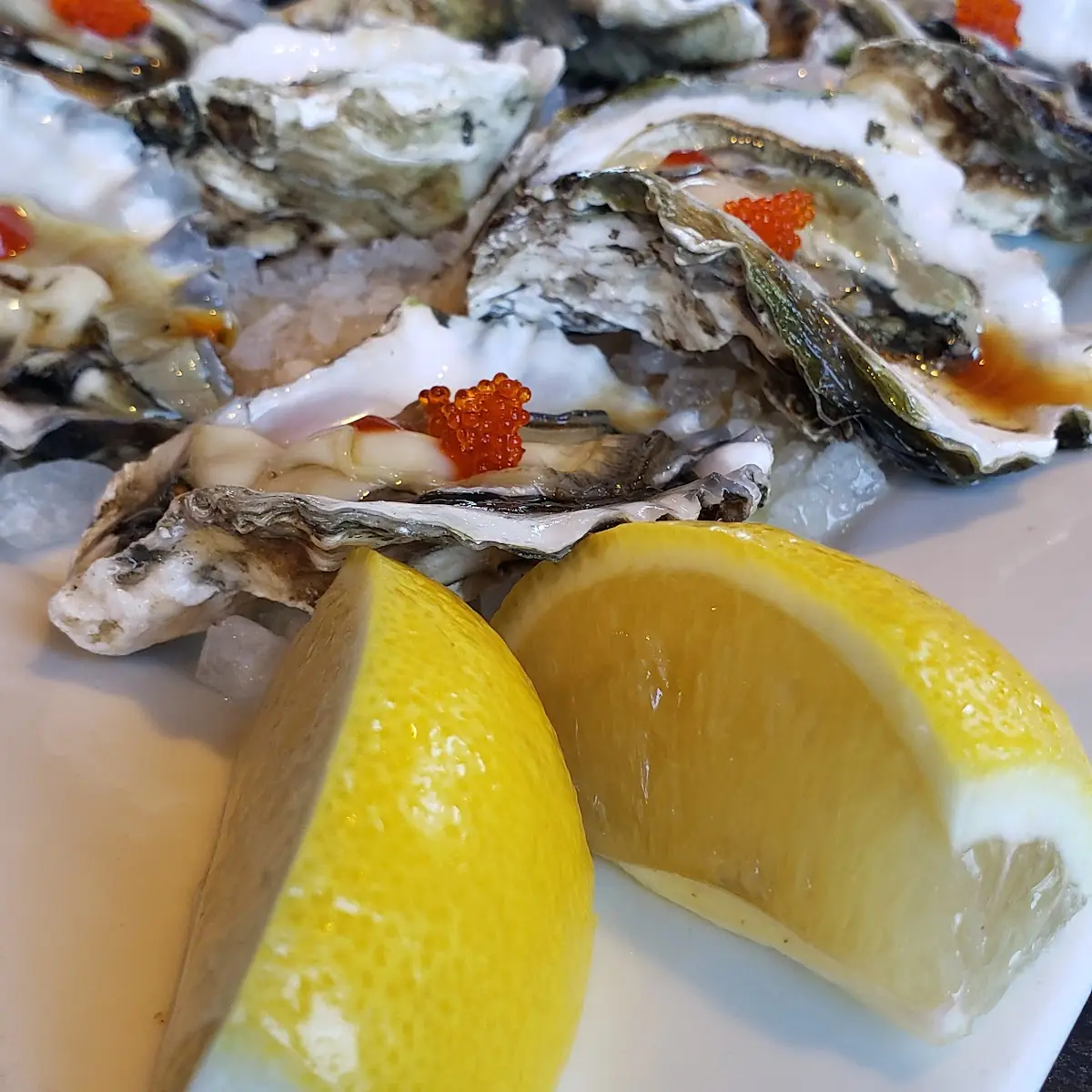 Oysters on the Half Shell