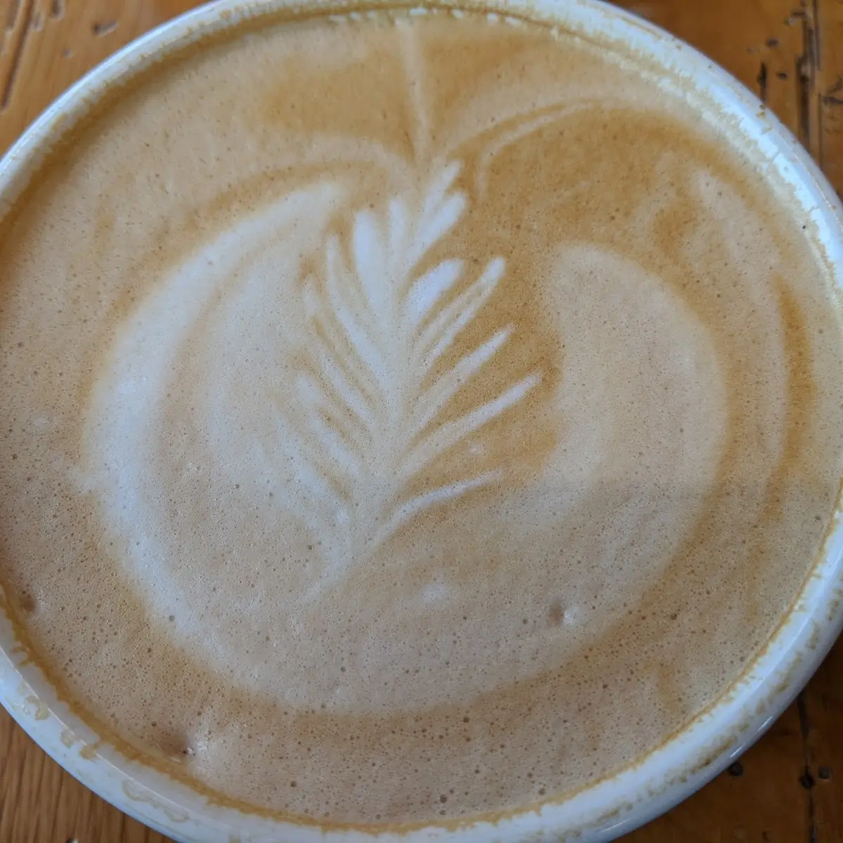 Cappuccino 8 Oz