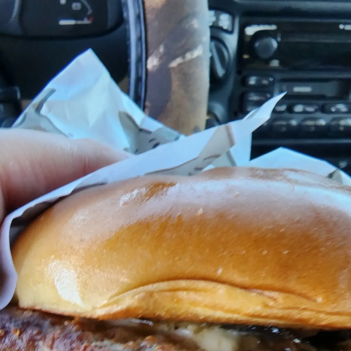 Mushroom Swiss Burger