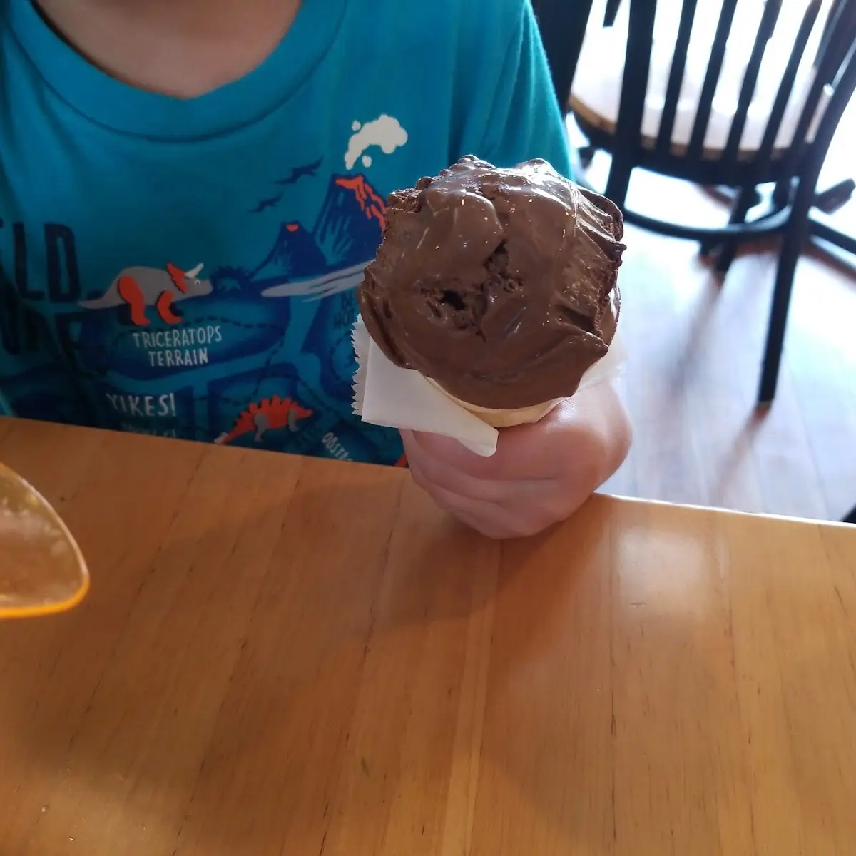 Chocolate Ice Cream