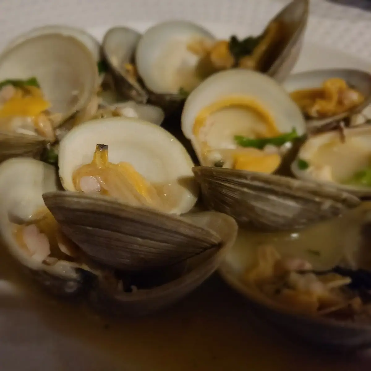Steamed Little Neck Clams