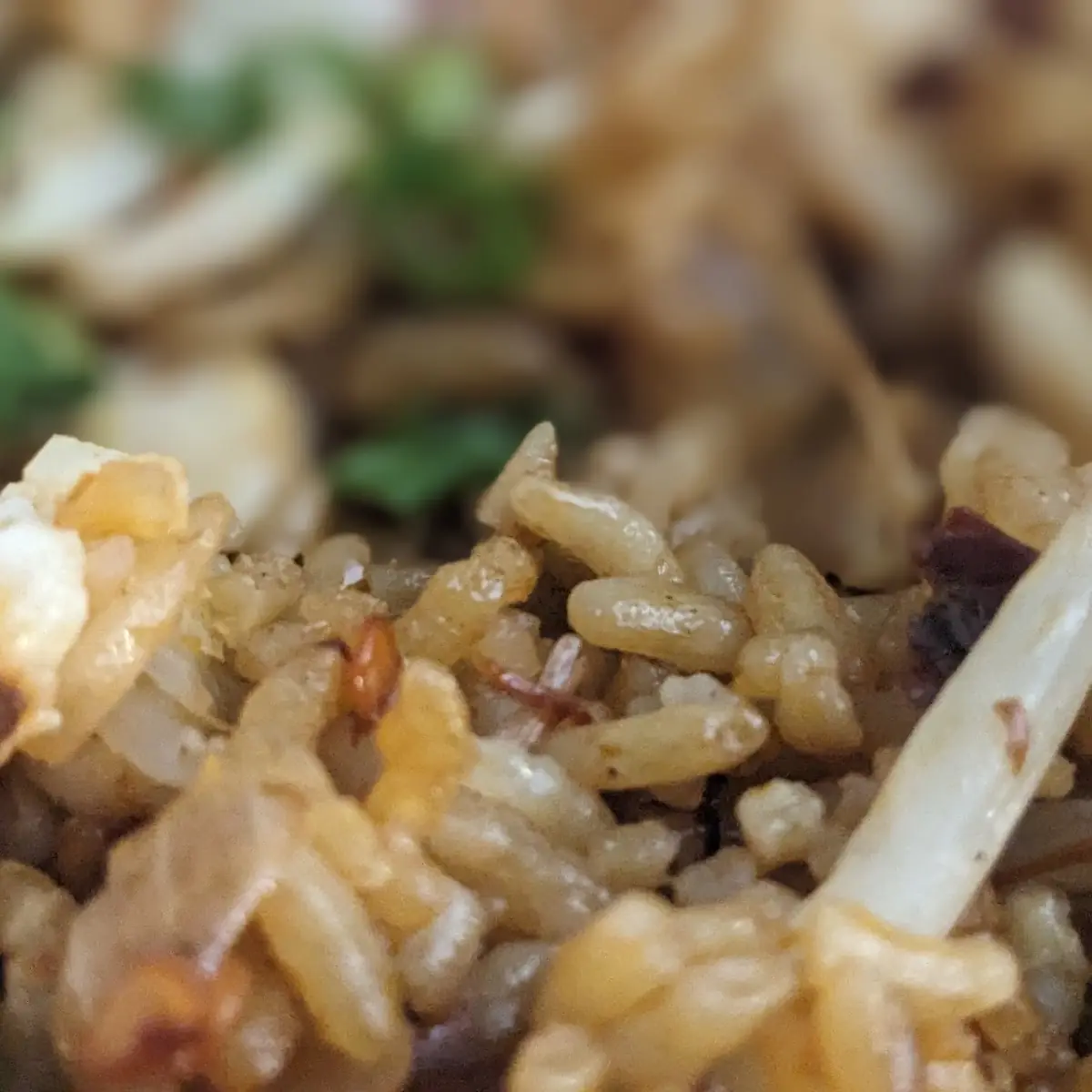 Chicken Fried Rice