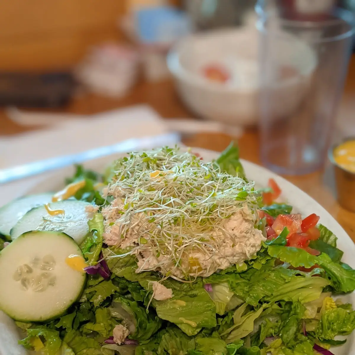Albacore Salad