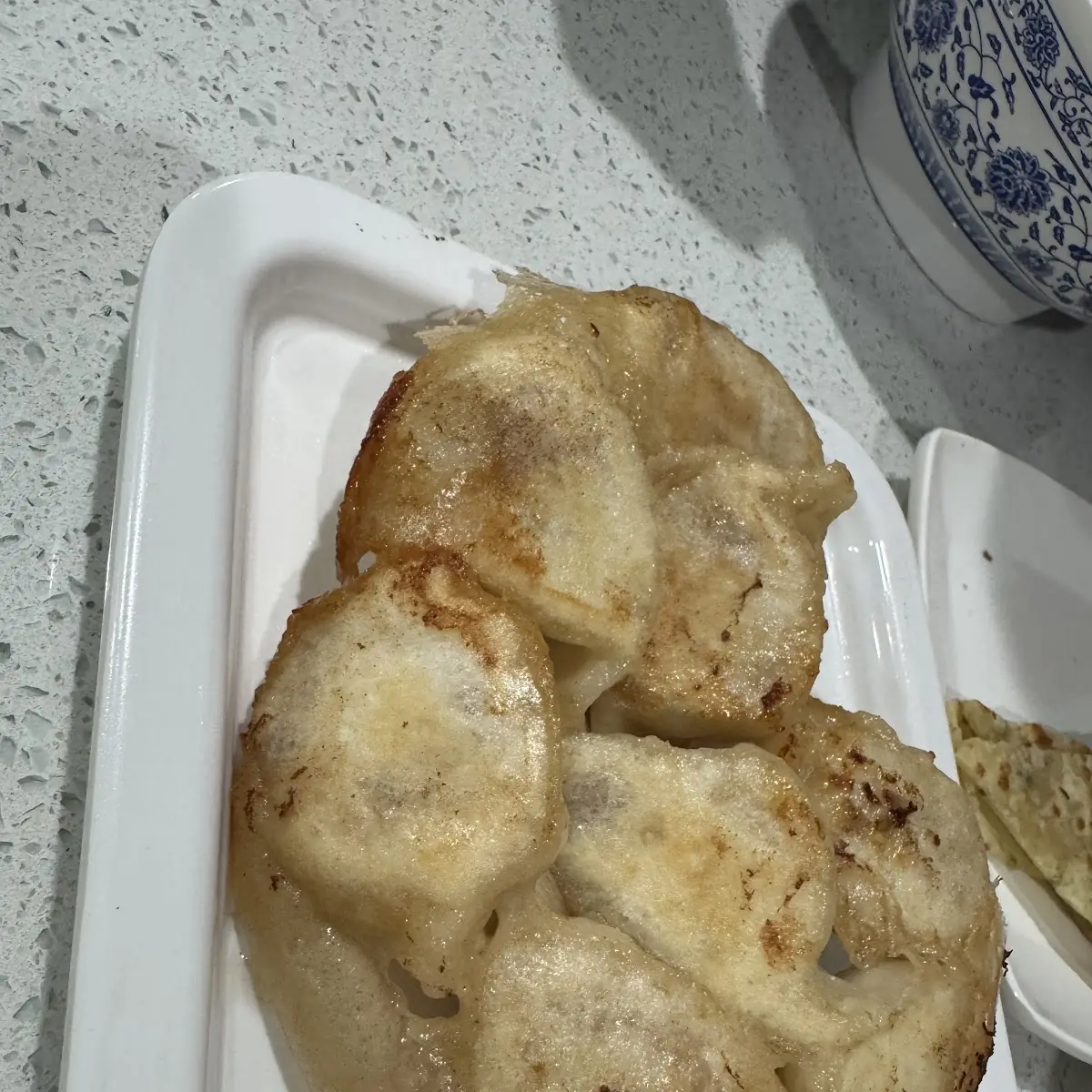 Pan Fried Dumplings