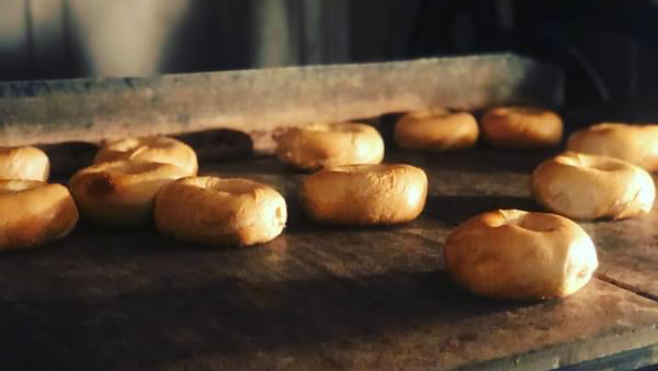 Hand Rolled Bagel