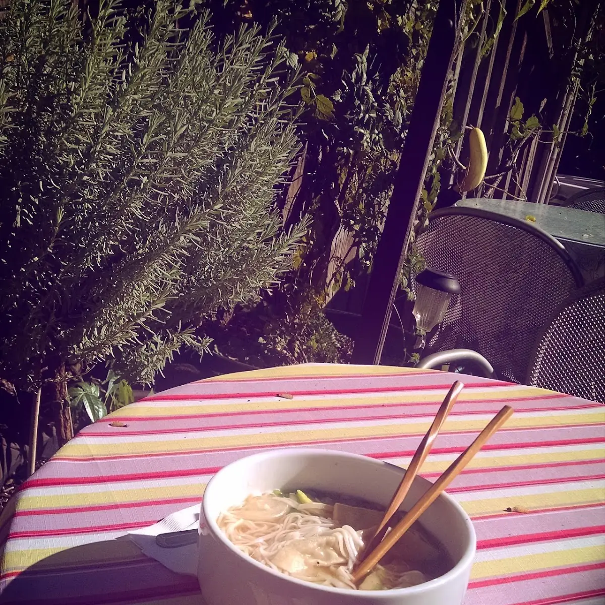 Chicken Dumplings with Rice Noodles