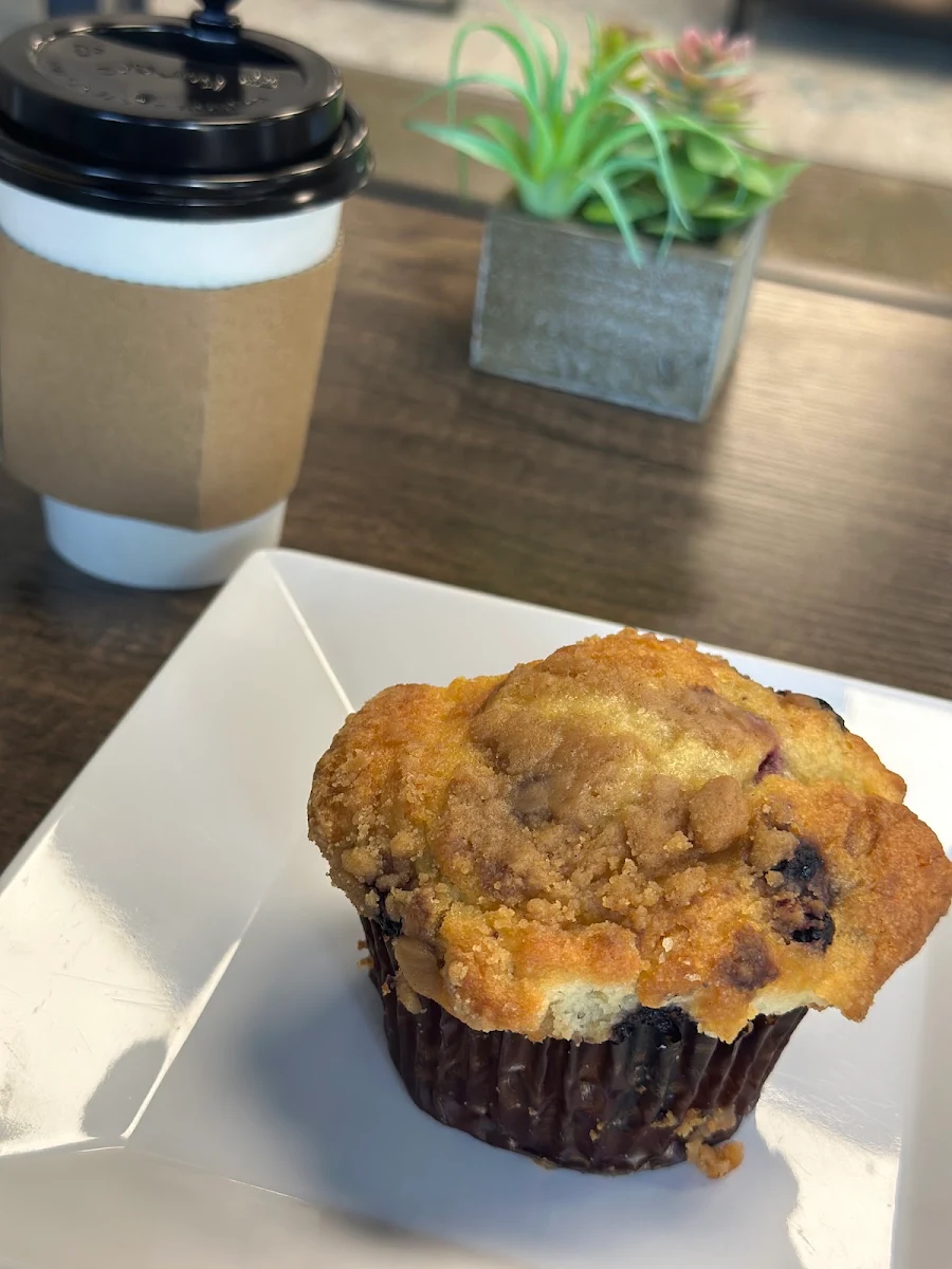 Blueberry Muffin