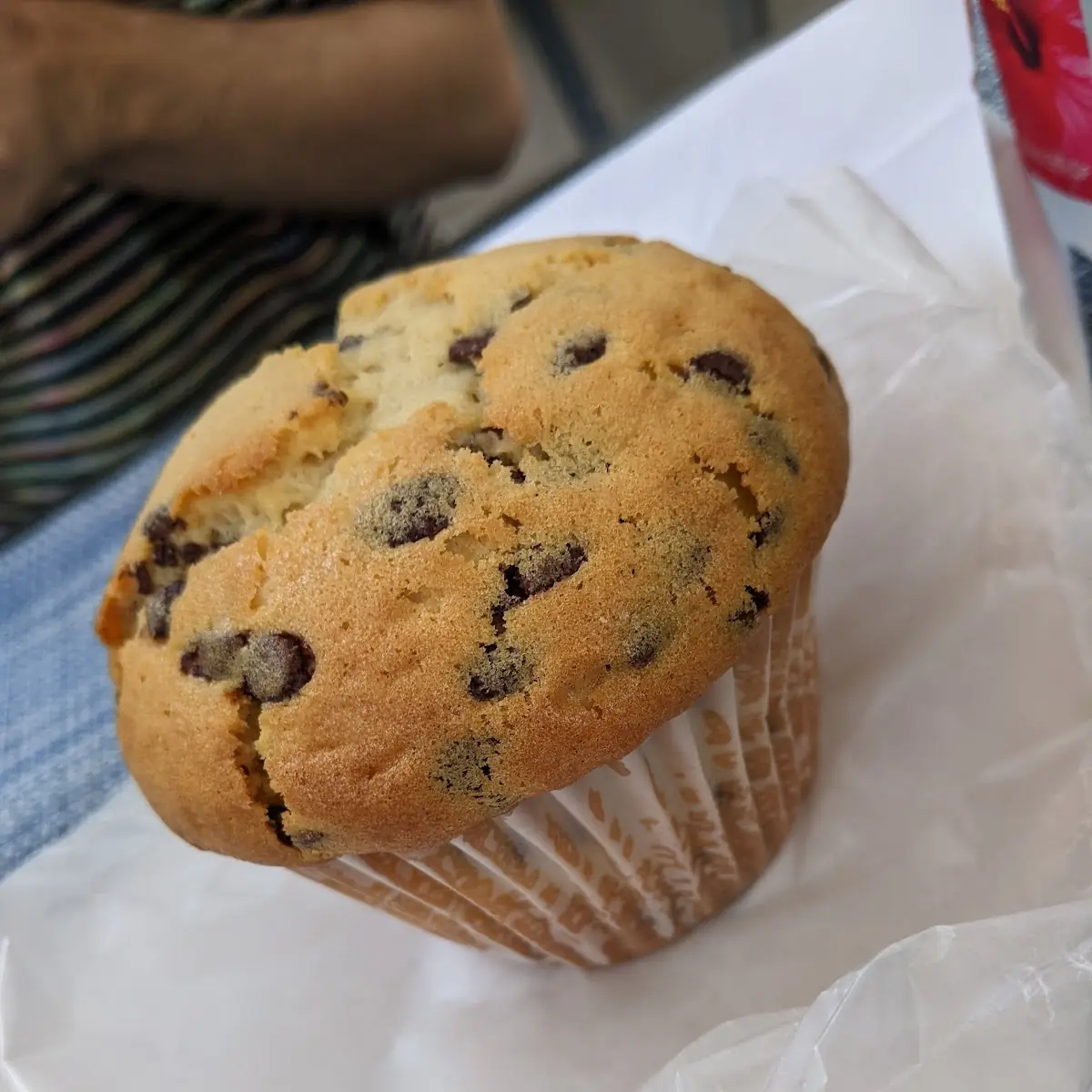 Chocolate Chip Muffin