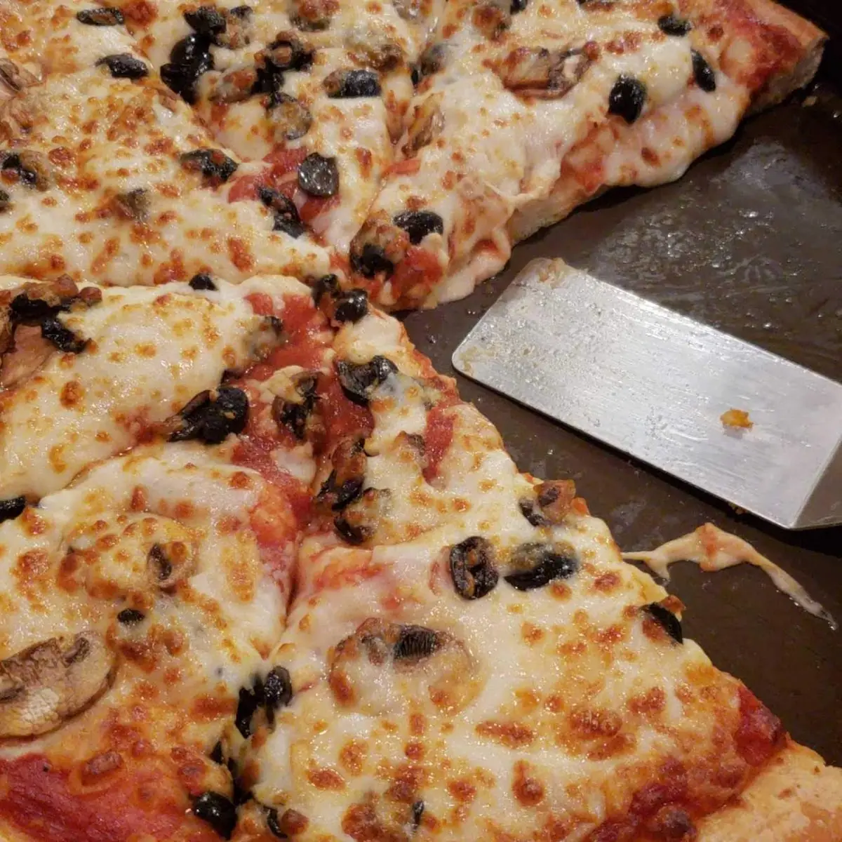 Black Olive and Mushroom Pizza
