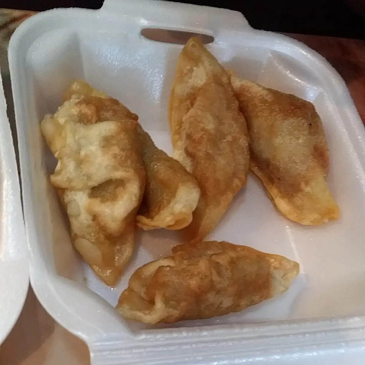 Gyoza Dumplings