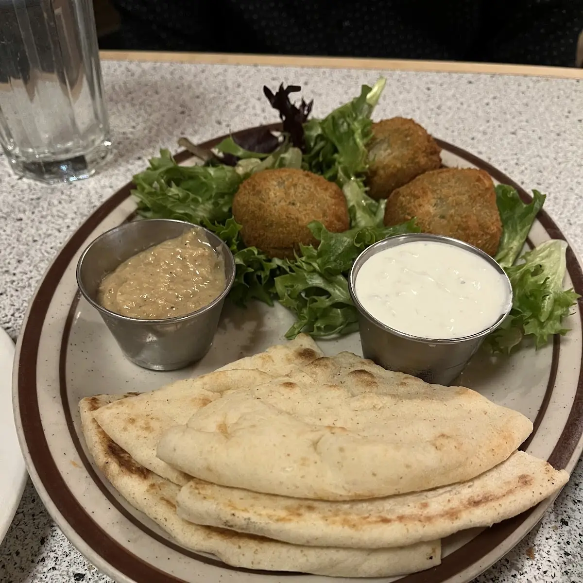 Falafel Platter Special