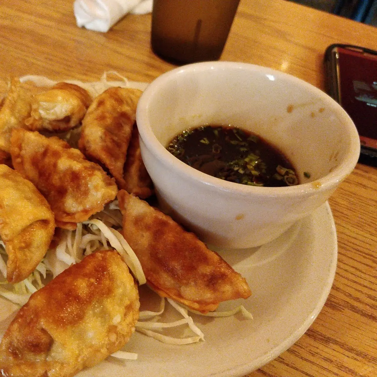 Steam or Fried Dumplings