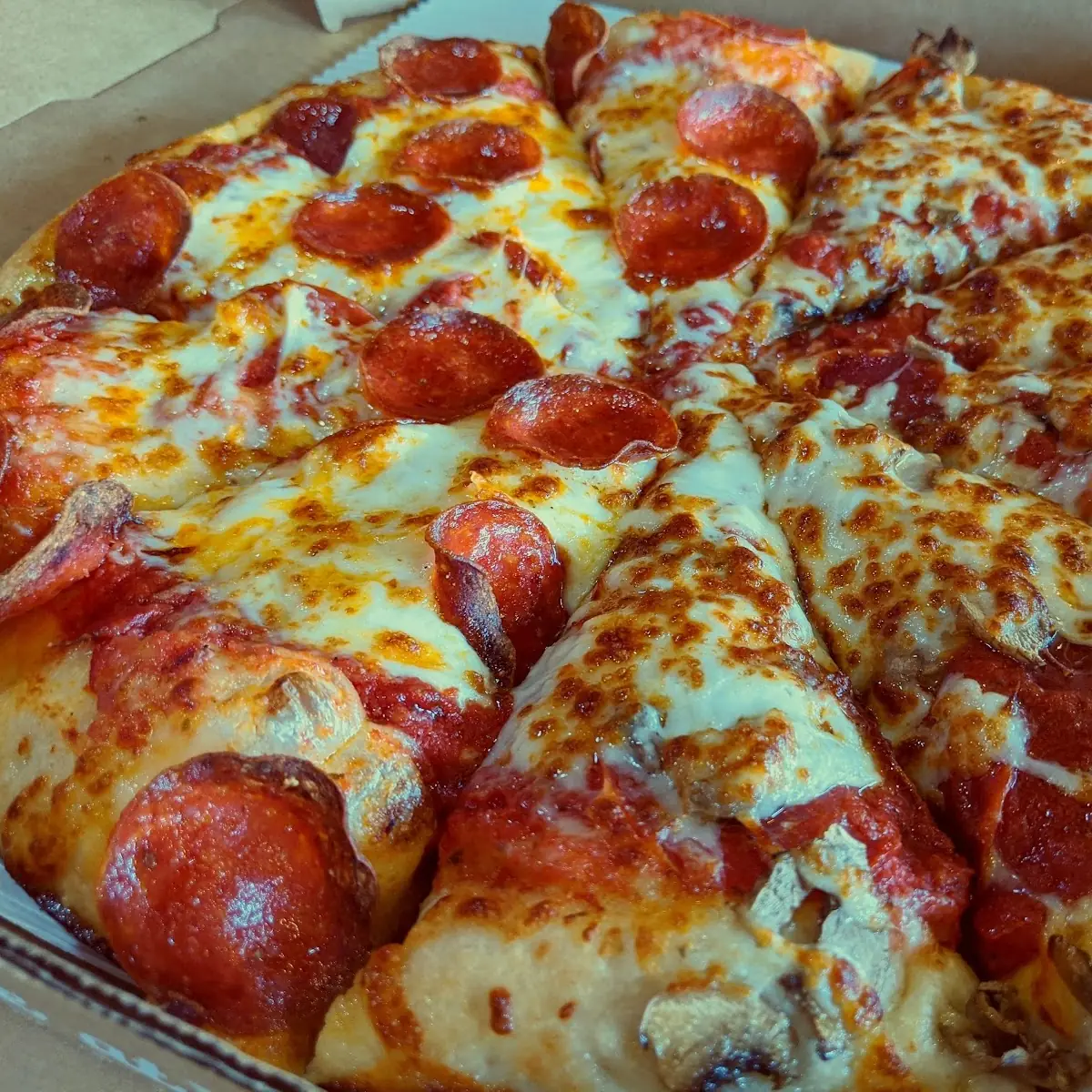 Pepperoni and Half Mushroom Pizza