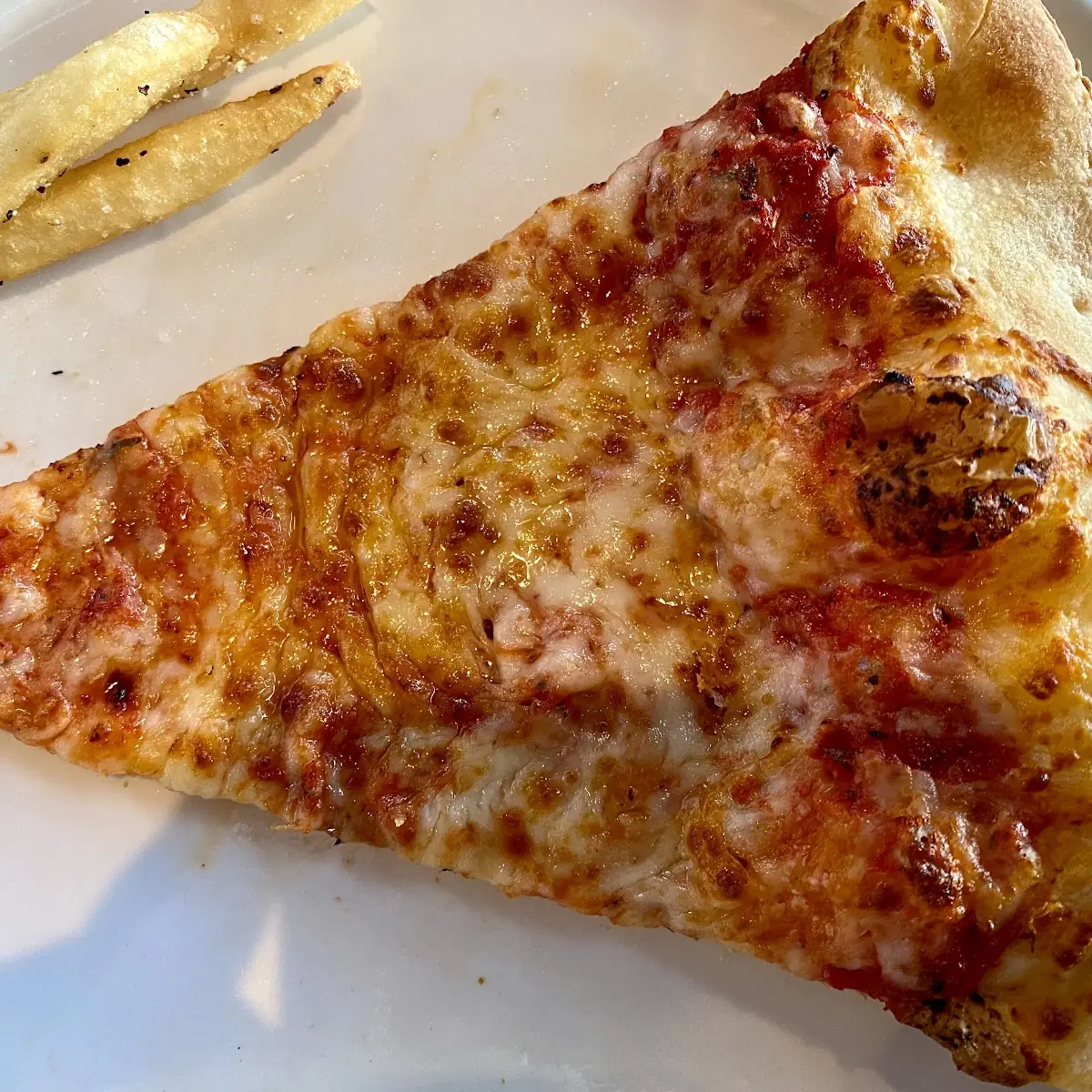 Thin Crust Pizza