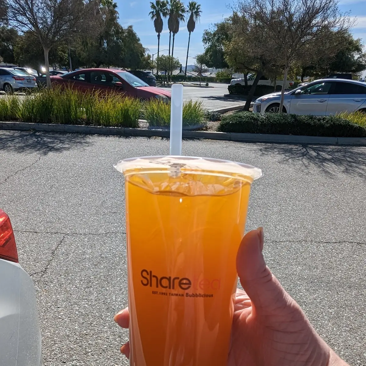 Mango and Passion Fruit Tea