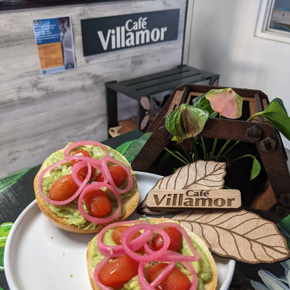 Avocado Bagel with Cream Cheese