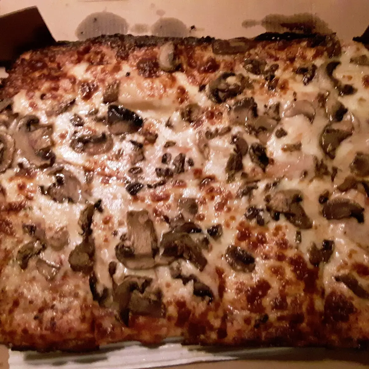 Mushroom Pizza