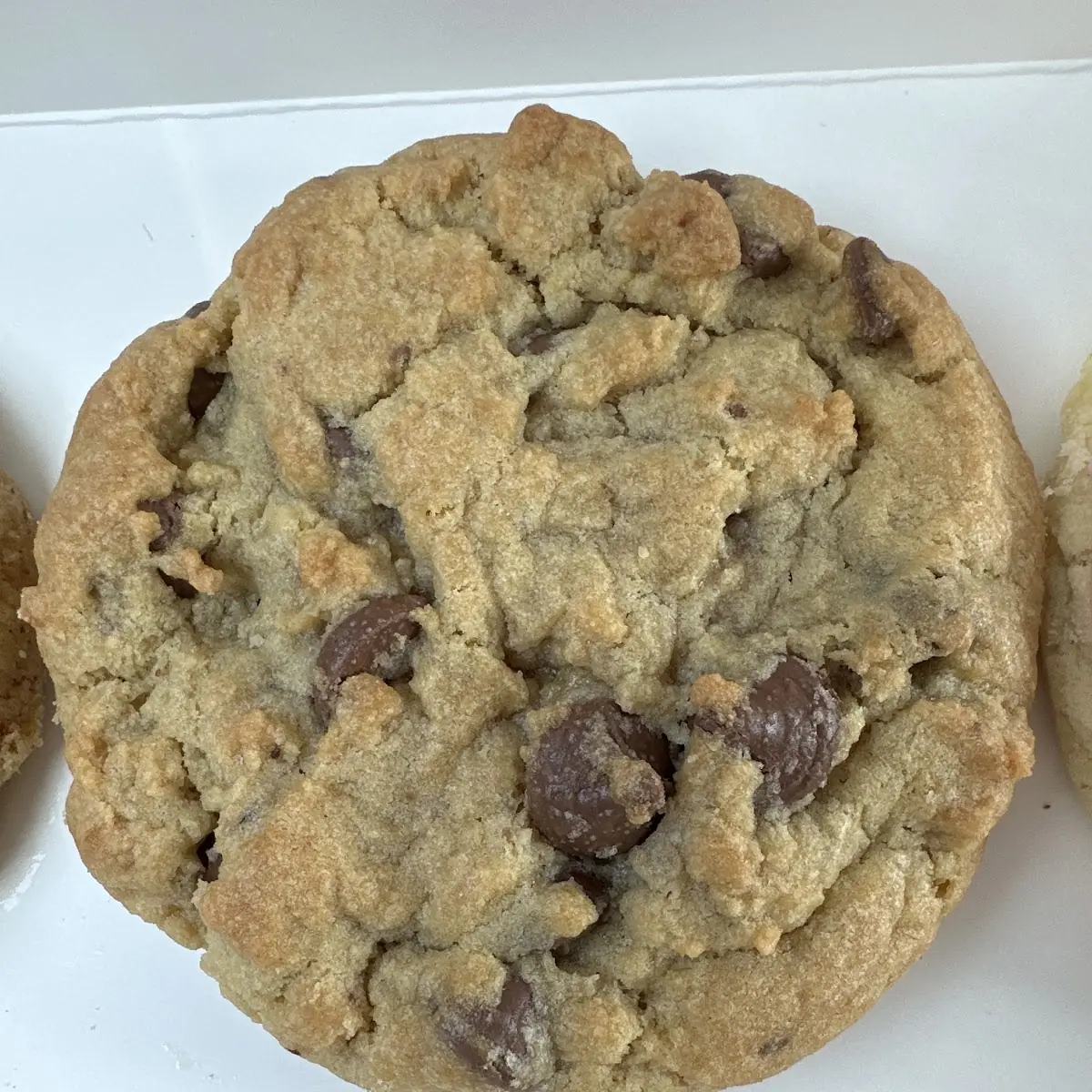 Milk Chocolate Chip Cookie