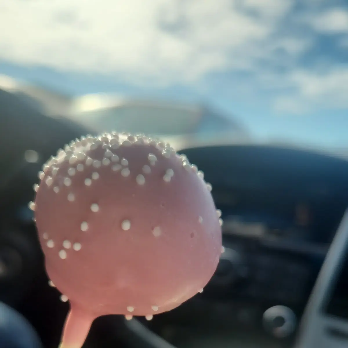 Cake Pop