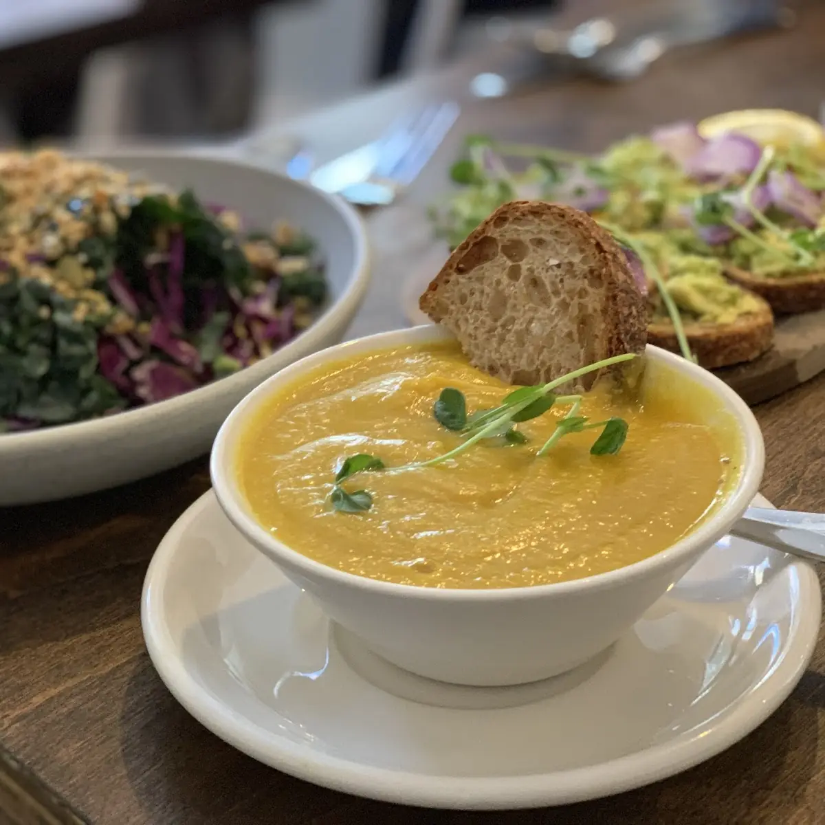 Daily Soup