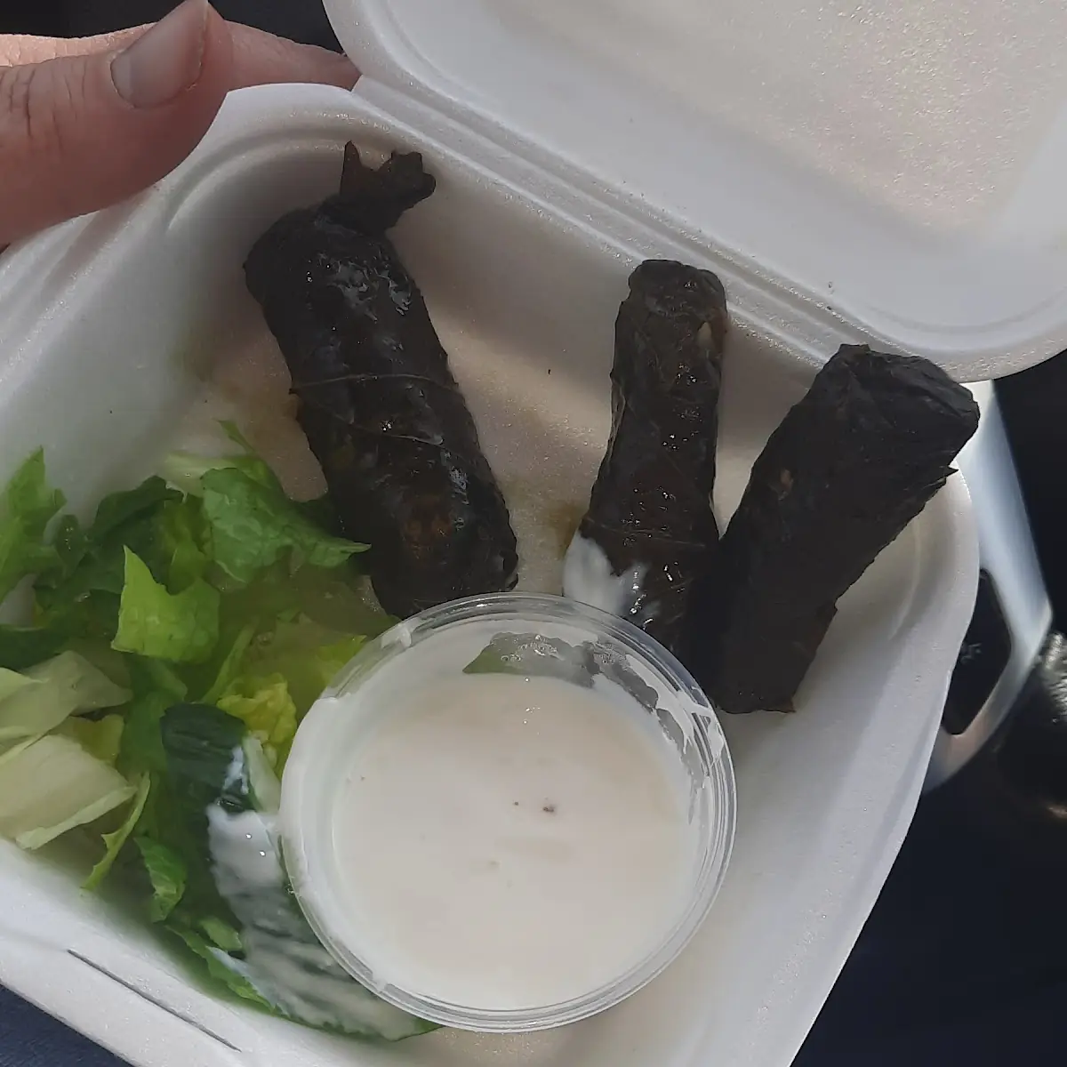 Stuffed Grape Leaves