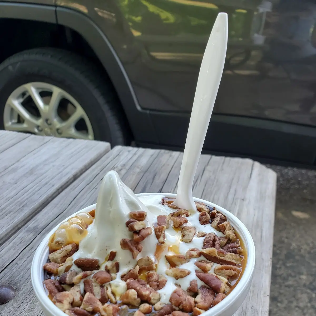 Turtle Sundae