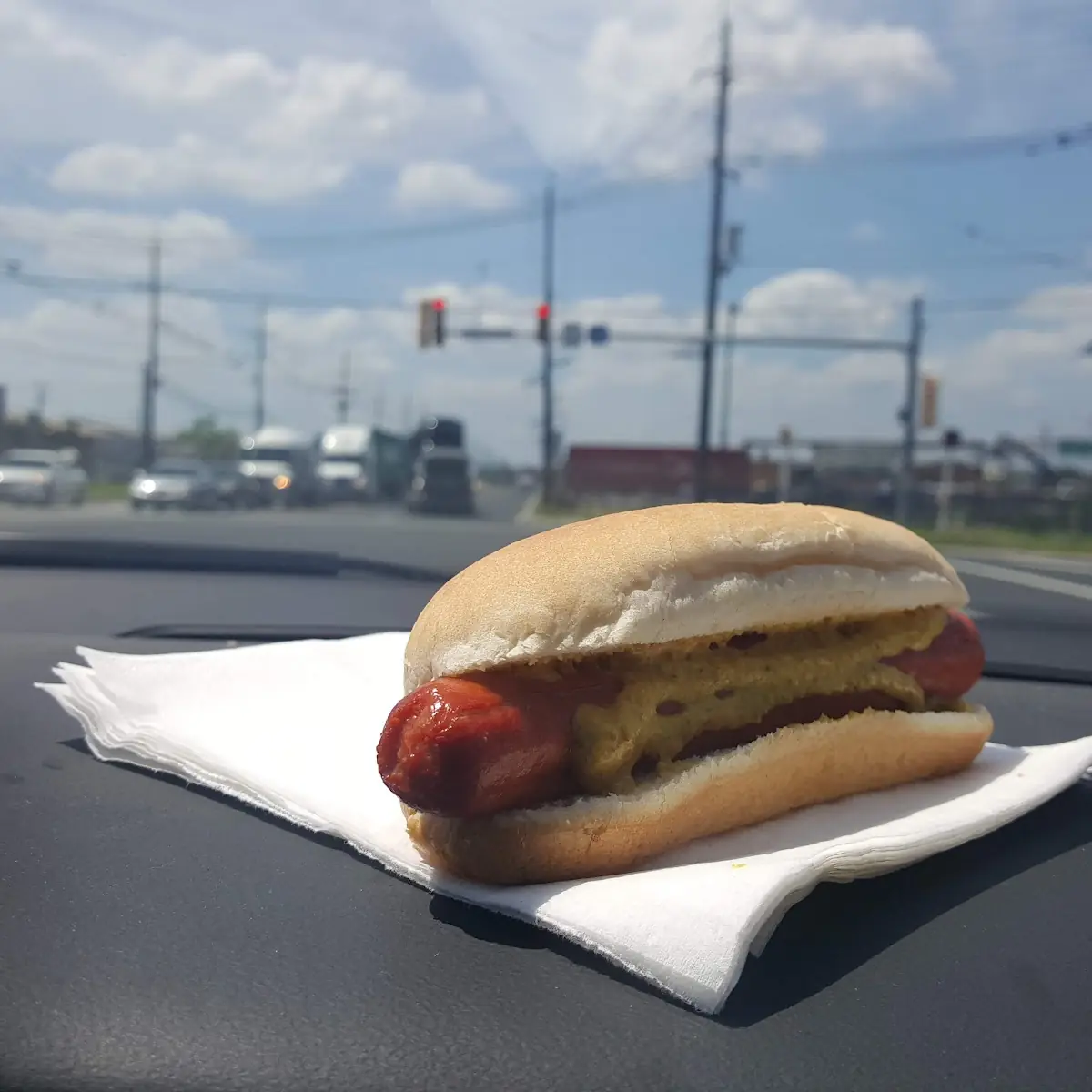 Hot Dog