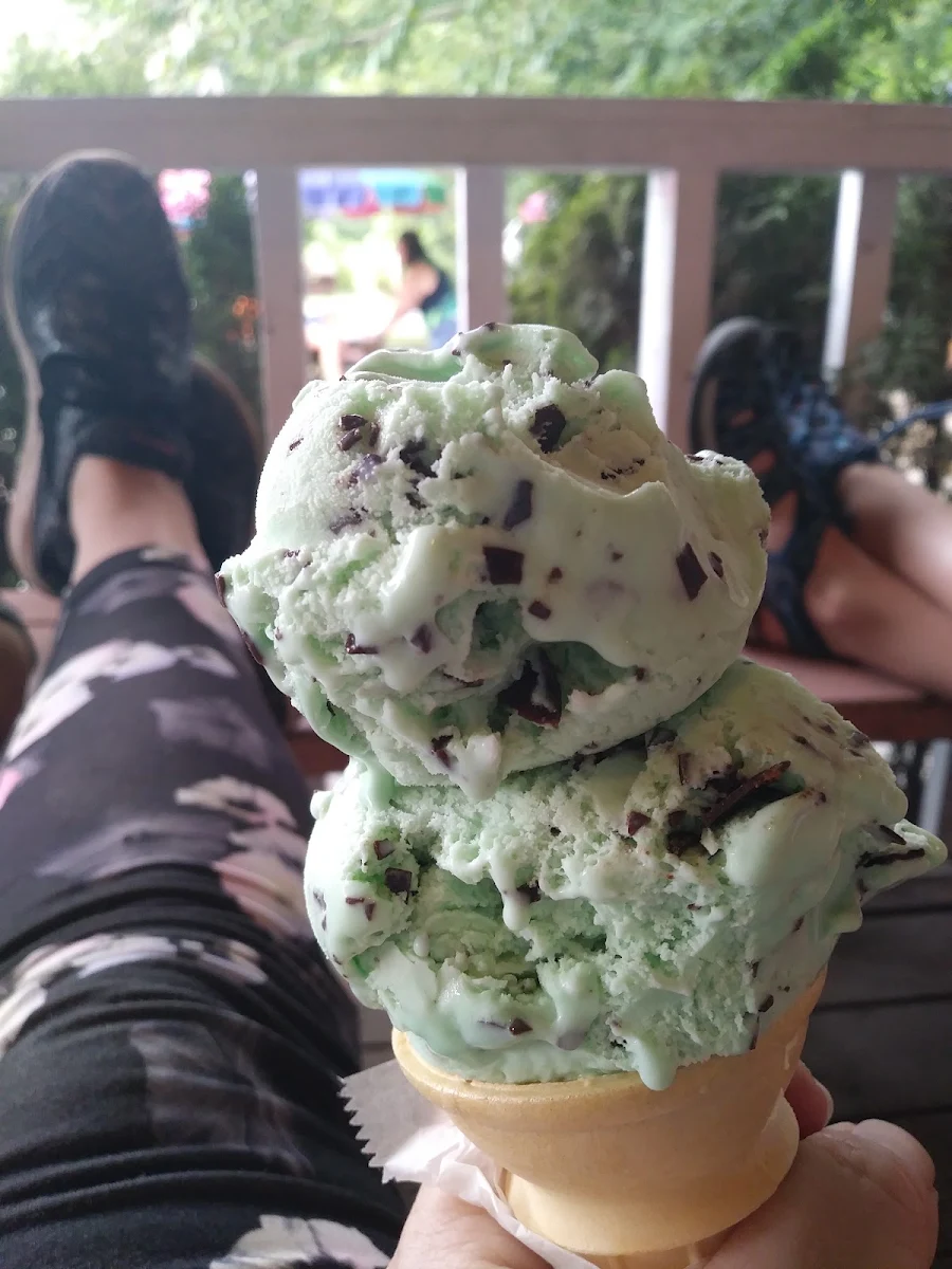 Mint Choc Chip