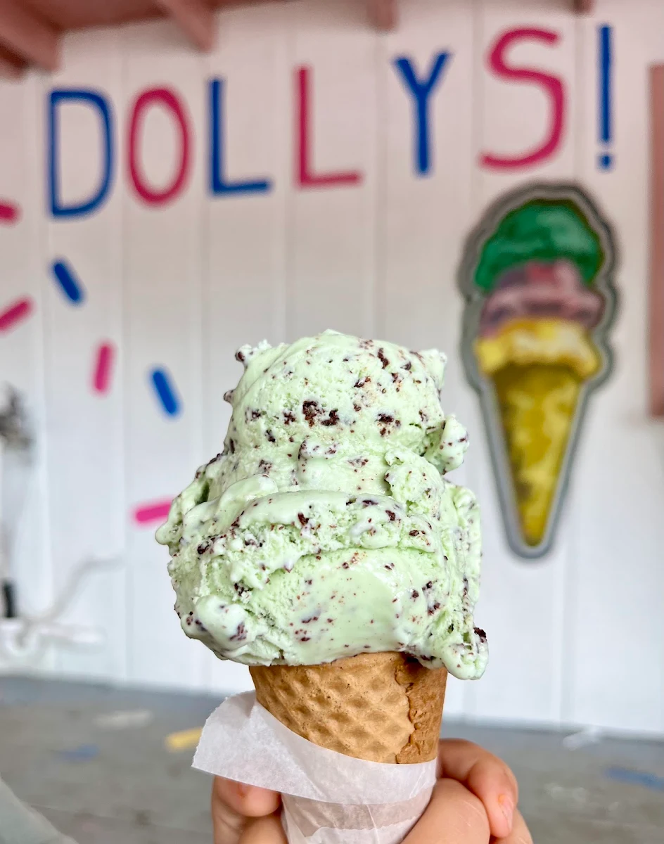Mint Chocolate Chip Ice Cream