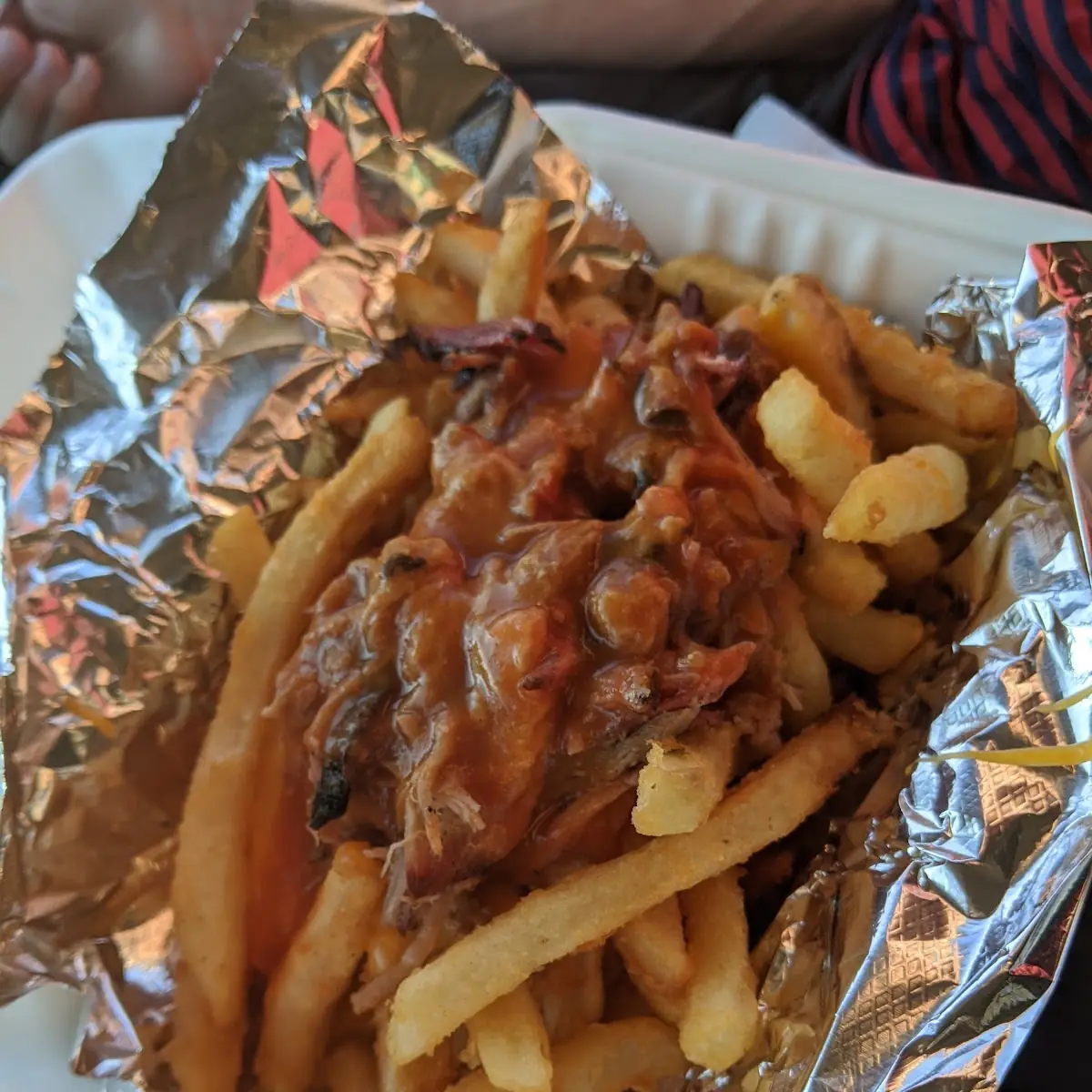 Cheese Fries with Pulled Pork