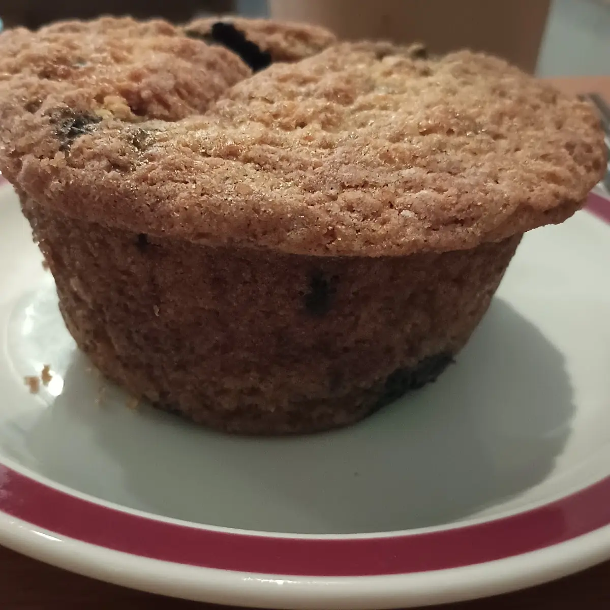 Homemade Blueberry Muffin