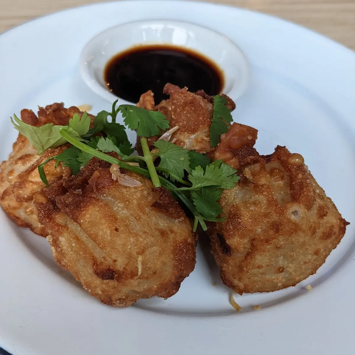Fried Pork Dumplings