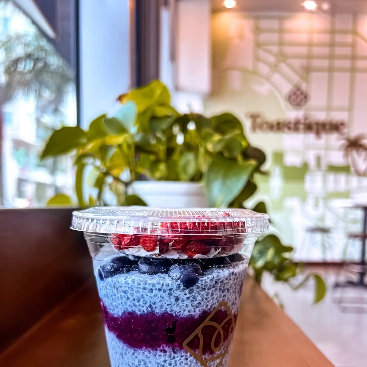 Blueberry Chia Pudding